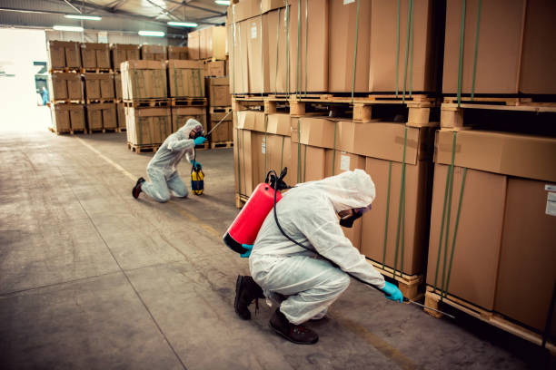Best Local Pest Control Services  in Moyock, NC