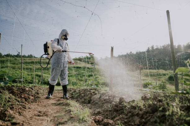 Best Pest Control for Homes  in Moyock, NC