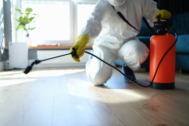 Reliable Moyock, NC Pest Control Solutions