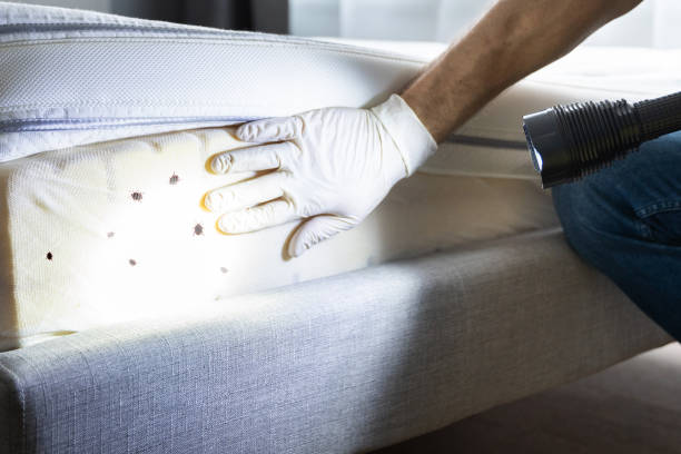 Best Affordable Pest Control Services  in Moyock, NC