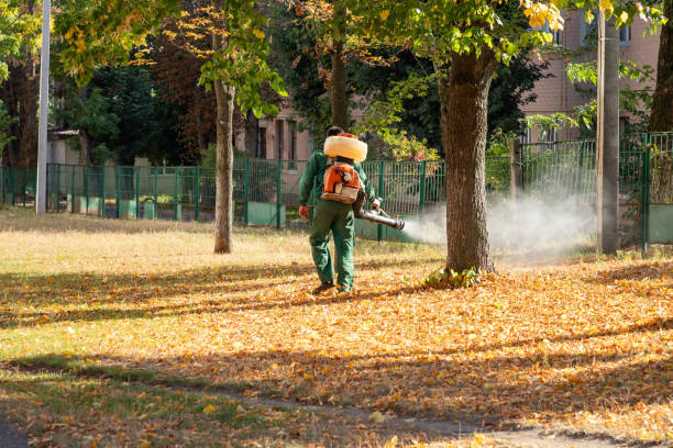 Best Pest Removal Services  in Moyock, NC