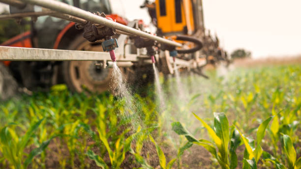Best Ant Control Services  in Moyock, NC